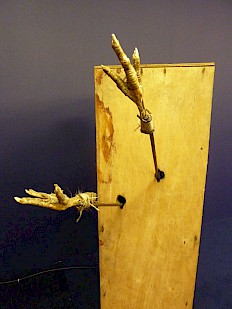 De Stille Kracht - 2014