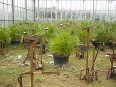 The Family - Vision in Motion / Motion in Vision - 2008